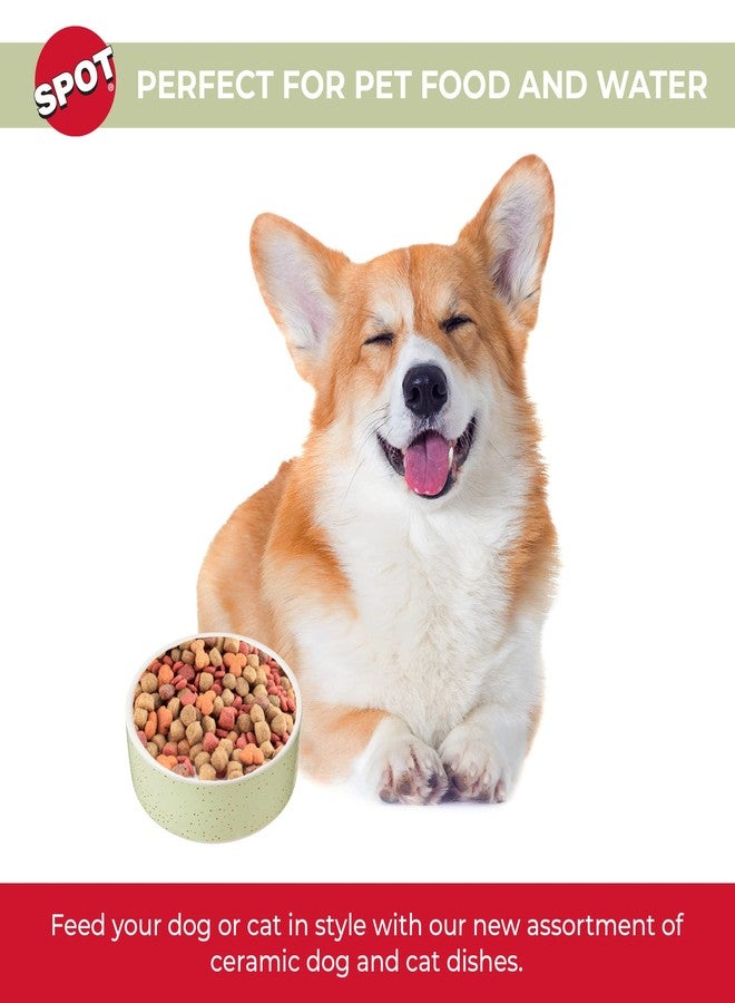 سبوت وعاء طعام/ماء دائري من السيراميك المرقط للحيوانات الأليفة، آمن للغسل في غسالة الأطباق، مثالي للكلاب الصغيرة والقطط والزواحف والطيور الكبيرة، أخضر فاتح 5 بوصات، 1.75 كوب (14 أونصة) - Image 2